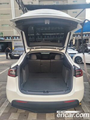 Tesla Model Y LONG RANGE 2021 года из Южной Кореи