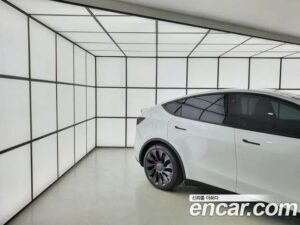 Tesla Model Y Performance 2021 года из Южной Кореи
