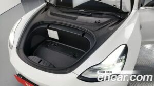 Tesla Model 3 Standard RANGE Plus 2020 года из Южной Кореи