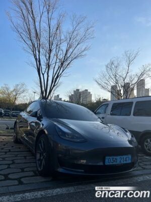 Tesla Model 3 LONG RANGE 2021 года из Южной Кореи