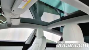 Tesla Model 3 Performance 2020 года из Южной Кореи