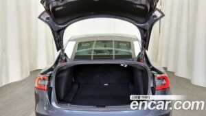Tesla Model 3 Performance 2020 года из Южной Кореи