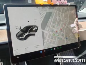 Tesla Model 3 Performance 2020 года из Южной Кореи