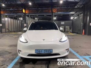 Tesla Model Y LONG RANGE 2021 года из Южной Кореи