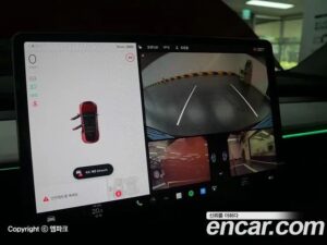 Tesla Model Y Performance 2021 года из Южной Кореи