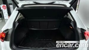 Volkswagen Tiguan 2.0 TDI 4motion Prestige 2020 года из Южной Кореи