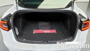 Tesla Model 3 LONG RANGE 2020 года из Южной Кореи