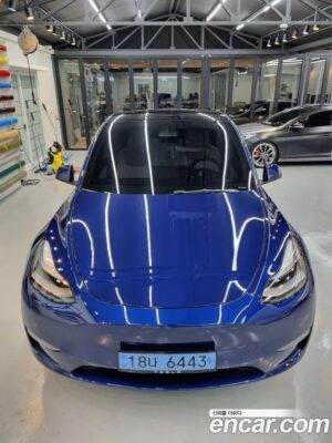 Tesla Model Y Performance 2022 года из Южной Кореи
