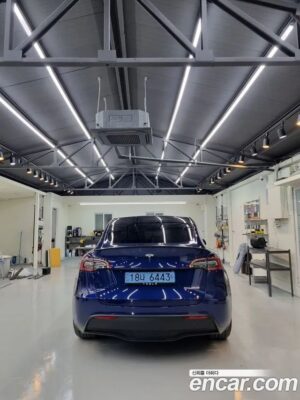 Tesla Model Y Performance 2022 года из Южной Кореи
