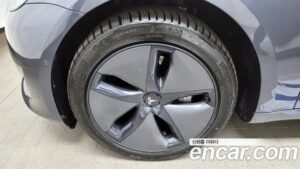 Tesla Model 3 Standard RANGE Plus 2020 года из Южной Кореи