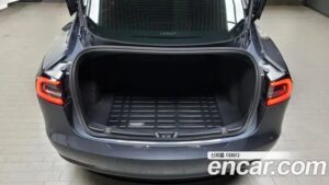 Tesla Model 3 Standard RANGE Plus 2020 года из Южной Кореи