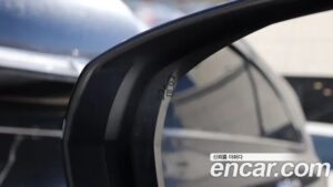 Citroen-DS DS7 2.0 BlueHDi 2021 года из Южной Кореи