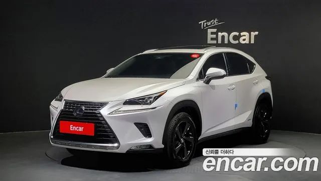 Lexus NX Executive 2019 года из Кореи
