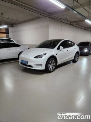 Tesla Model Y Standard RANGE 2021 года из Южной Кореи