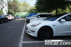 Tesla Model 3 Standard RANGE Plus 2020 года из Южной Кореи
