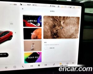 Tesla Model 3 Standard RANGE Plus 2020 года из Южной Кореи