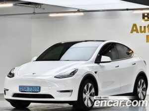 Tesla Model Y LONG RANGE 2021 года из Южной Кореи
