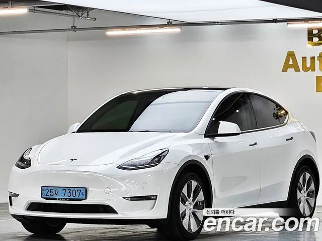 Tesla Model Y LONG RANGE 2021 года из Кореи