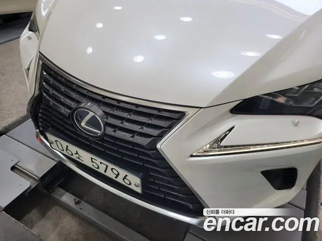 Lexus NX Executive 2019 года из Кореи