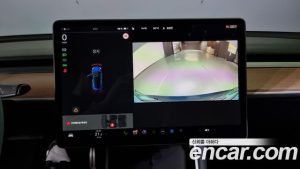 Tesla Model 3 Performance 2020 года из Южной Кореи
