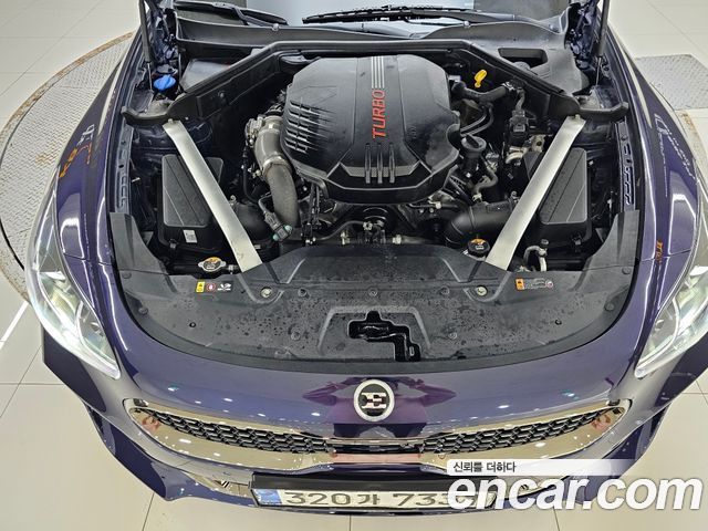 35797349_009.jpg Kia Stinger 3.3 Turbo AWD 2020 года из Южной Кореи