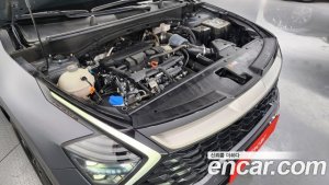Kia Sportage Бензин 1.6 Turbo 4WD 2022 года из Южной Кореи