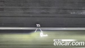 Hyundai Palisade Дизель 2.2 2WD 2022 года из Южной Кореи