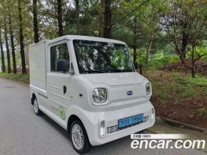 Others Others Miscellaneous Electric Vehicle 2021 года из Южной Кореи