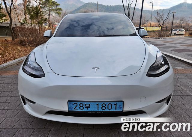 Tesla Model Y LONG RANGE 2021 года из Кореи
