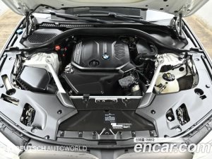 BMW 5-Series 520d M Sport Plus 2020 года из Южной Кореи