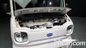 Others Others Miscellaneous Electric Vehicle 2020 года из Южной Кореи