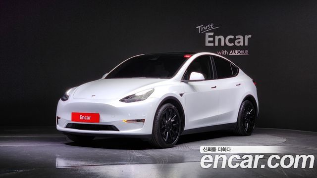 Tesla Model Y LONG RANGE 2021 года из Кореи