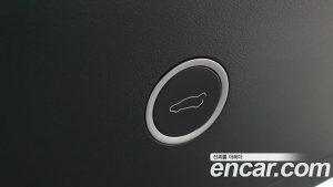 Tesla Model X LONG RANGE 2020 года из Южной Кореи