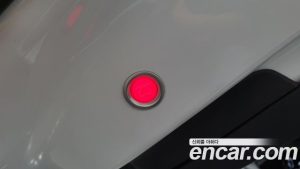 Tesla Model X LONG RANGE 2020 года из Южной Кореи