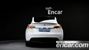 Tesla Model Y Performance 2021 года из Южной Кореи