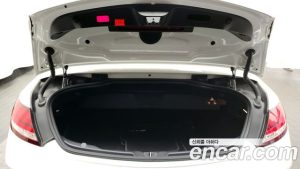 Mercedes-Benz C-Class C200 Cabriolet 2020 года из Южной Кореи