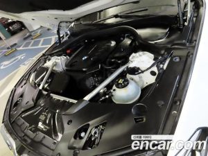 BMW 5-Series 520d Luxury Plus 2020 года из Южной Кореи
