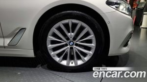 BMW 5-Series 520d xDrive Luxury Plus 2020 года из Южной Кореи