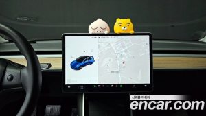 Tesla Model 3 Standard RANGE Plus 2020 года из Южной Кореи