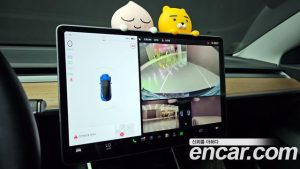 Tesla Model 3 Standard RANGE Plus 2020 года из Южной Кореи