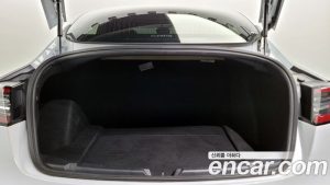 Tesla Model 3 LONG RANGE 2020 года из Южной Кореи