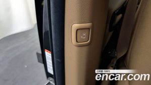 Kia Carnival 7-Seater Limousine 2020 года из Южной Кореи