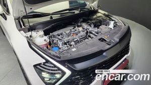 Kia Sportage Бензин 1.6 Turbo 2WD 2023 года из Южной Кореи