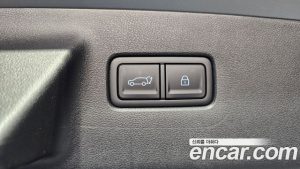 Hyundai Santafe HEV 1.6 2WD 2024 года из Южной Кореи