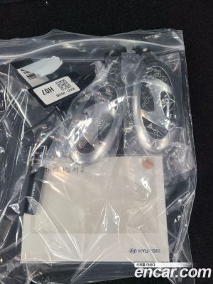 Hyundai Santafe Бензин 2.5T 4WD 2024 года из Южной Кореи