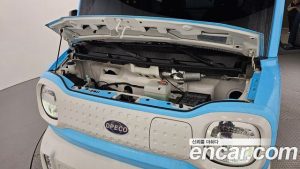 Others Others Miscellaneous Electric Vehicle 2021 года из Южной Кореи