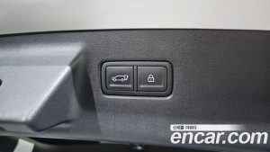 Hyundai Santafe Бензин 2.5T 2WD 2024 года из Южной Кореи