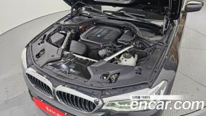 BMW 5-Series 520d xDrive M Sport Plus 2020 года из Южной Кореи