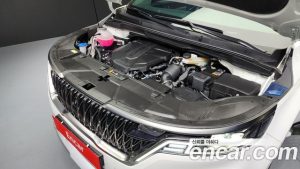 Kia Carnival 9-Seater HI-Limousine 2023 года из Южной Кореи