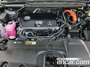 Lexus RX Luxury 2023 года из Южной Кореи